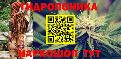 прущие крисы Лесосибирск